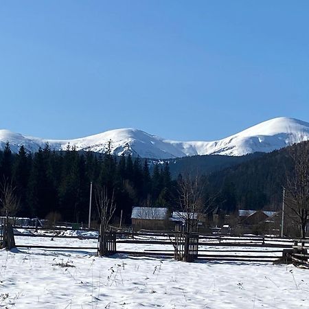 Appartamento Під Явором Vorokhta Esterno foto