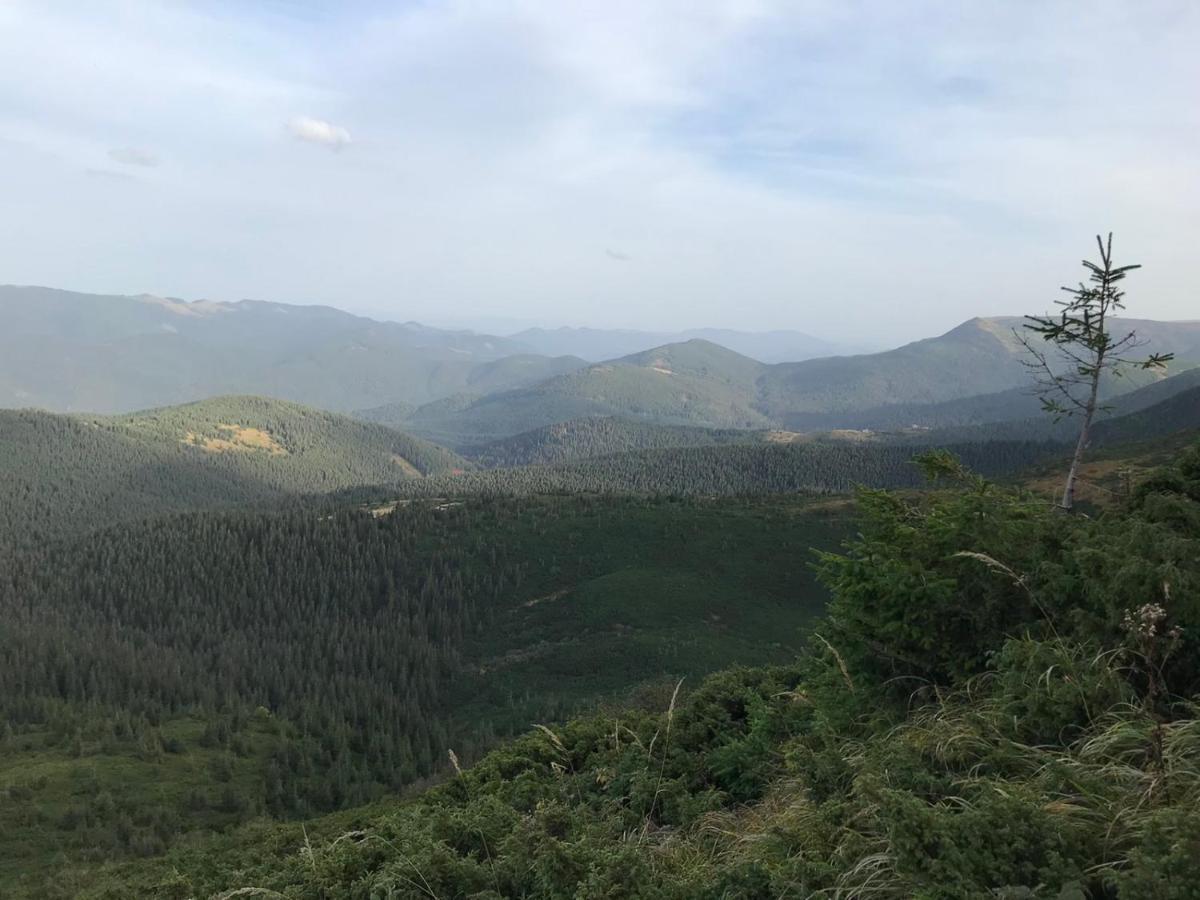 Appartamento Під Явором Vorokhta Esterno foto