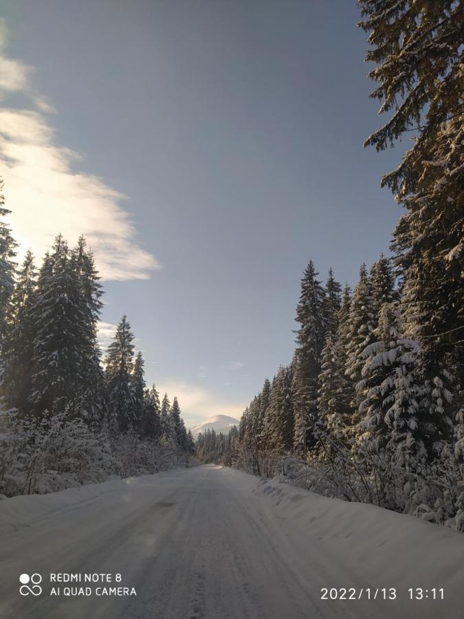 Appartamento Під Явором Vorokhta Esterno foto
